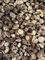 Healthy Dried Shiitake Mushroom 11% Moisture No Foreign Odours
